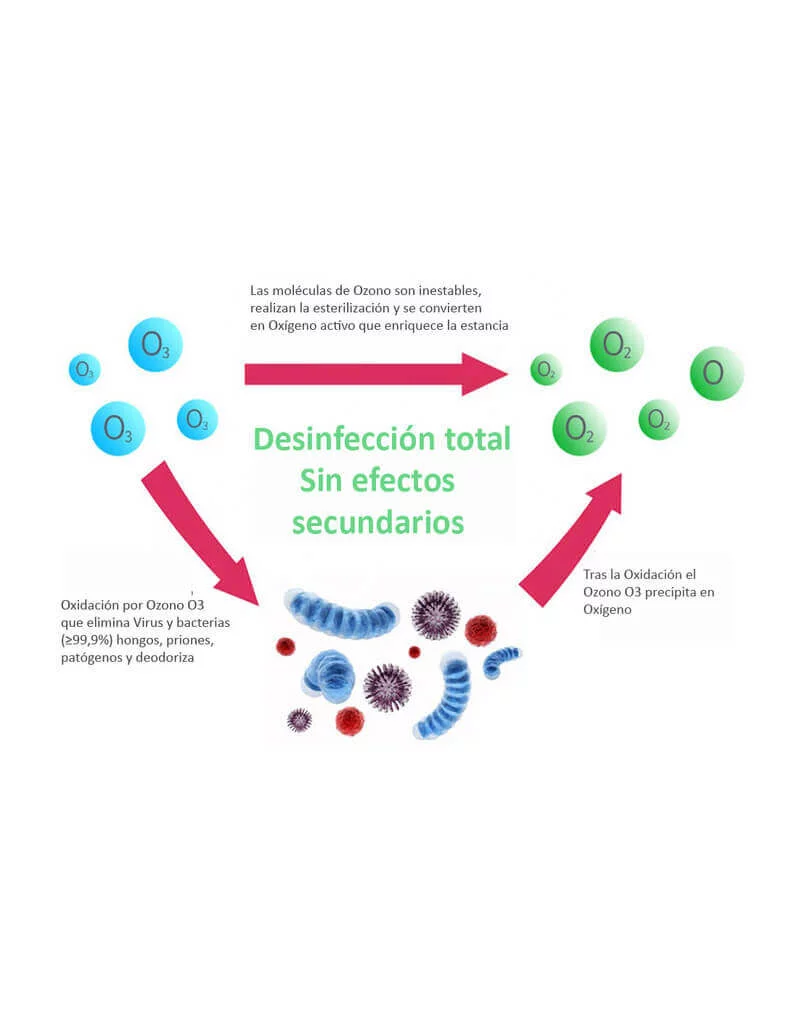 Fases del Generador de Ozono