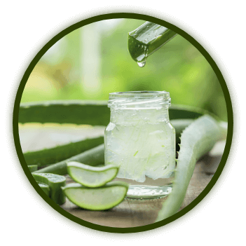 Gel Puro de Aloe Vera